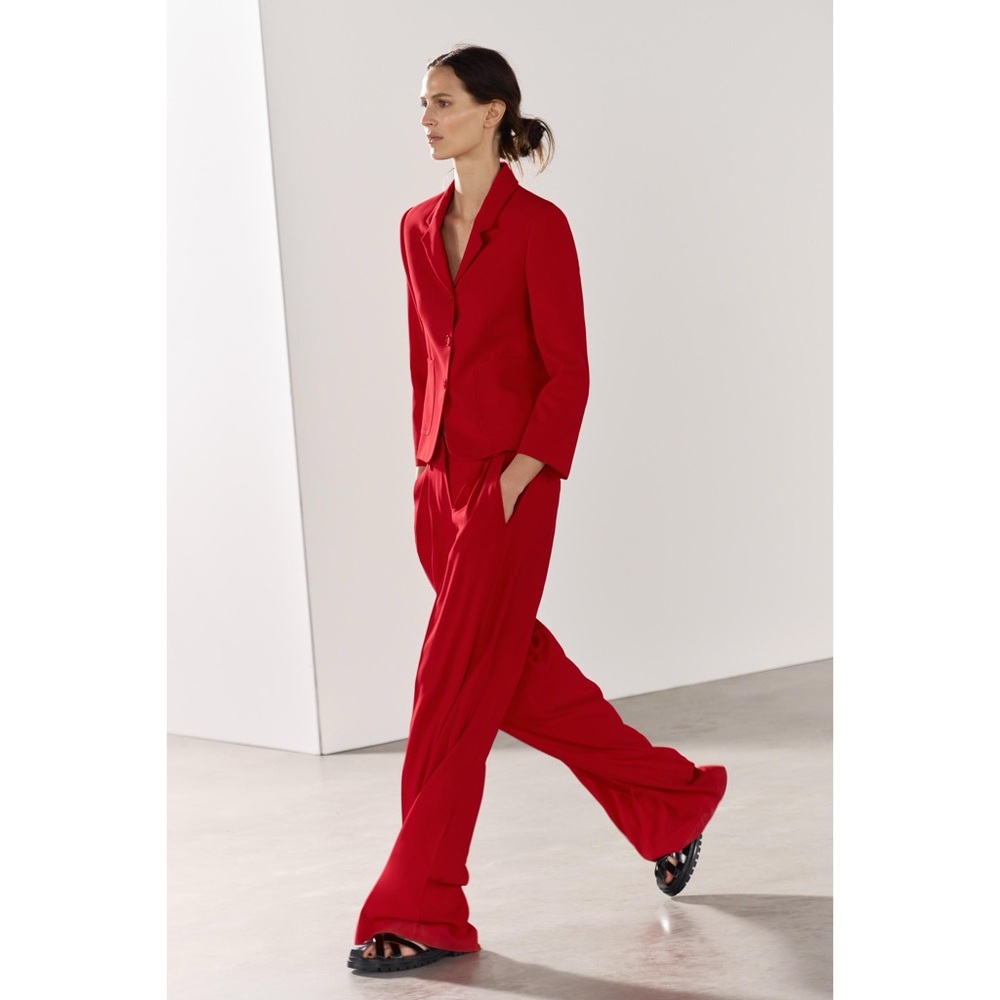 Size M Pants and XL Blazer | Zara | Red Two Piece Suit